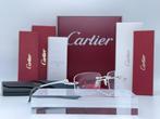 Cartier - Panthere Silver Gold Planted 18k - Bril