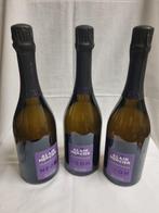 Alain Mercier, Néon - Champagne - 3 Bouteilles (0,75 L), Verzamelen, Nieuw