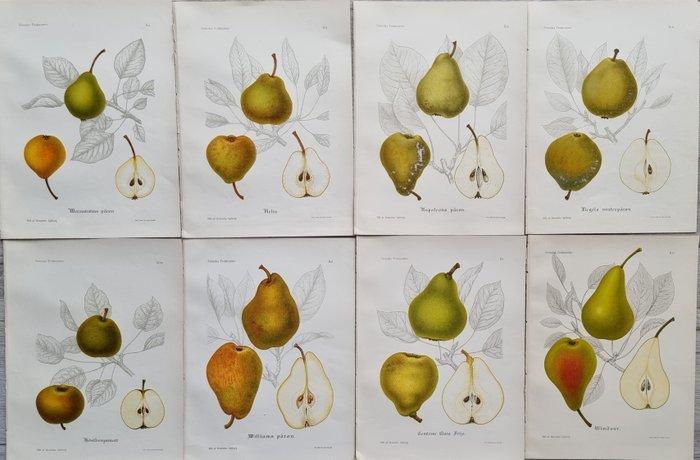 Henriette Sjöberg (1842 / 1915) - Jakob Eriksson (1848 /, Antiquités & Art, Antiquités | Livres & Manuscrits