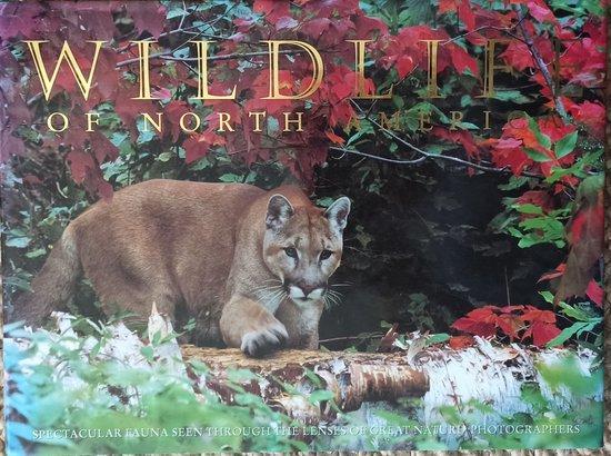 WILDLIFE OF NORTH AMERICA 9783829022149 Collectief, Boeken, Taal | Engels, Gelezen, Verzenden