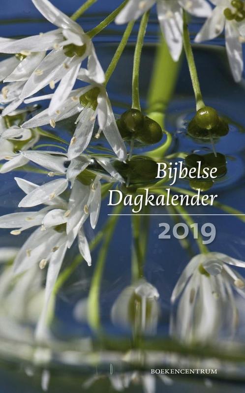 Bijbelse dagkalender 2019 (9789023952688), Livres, Livres d'étude & Cours, Envoi