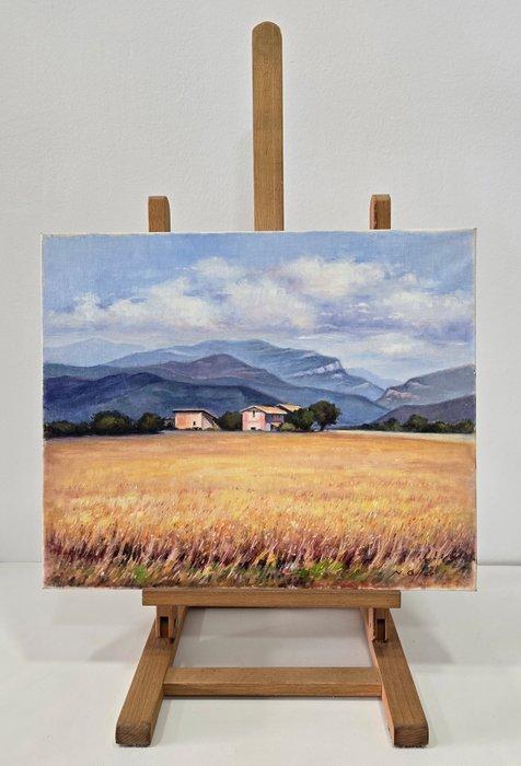 Narcís Oller (1945) - Tortellà, La Garrotxa, Antiquités & Art, Art | Peinture | Classique