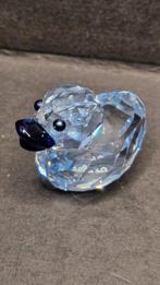 Happy Duck Cheerful Zoe 1041291 - boxed - Swarovski -