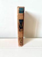 Jules Verne - Le Superbe Orénoque [cartonnage polychrome «