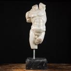 sculptuur, Marble Man - 66 cm - Sculptuur, Mannelijke torso