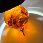 Bal met bijen en Baltische barnsteen stenen - Barnsteen -, Verzamelen, Mineralen en Fossielen