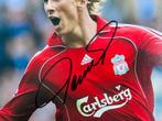 Fernando Torres - Signé officiellement - Photo du Liverpool, Nieuw