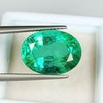 Smaragd  - 8.31 ct - International Gemological Institute, Nieuw