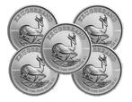 Zuid-Afrika. 5 x 1 oz 1 Rand Silver Krugerrand Coin (Random, Postzegels en Munten, Edelmetalen en Baren