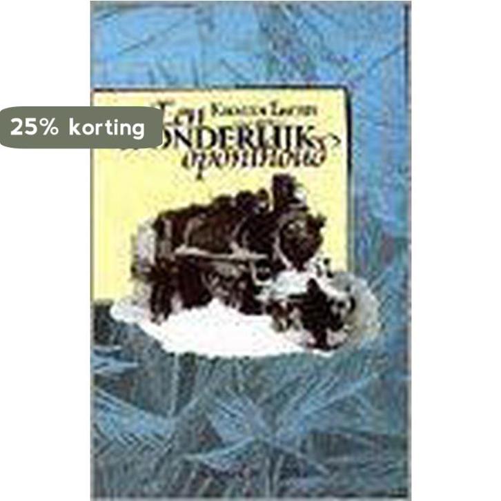 Een wonderlijk oponthoud / Argentum-serie 9789039505564, Livres, Romans, Envoi