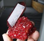 Pruskite Cristal Deep Red incroyable sur matrice - pas de, Collections