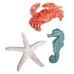 Maritiem polyresin zeedieren, 4-6cm, 3 soorten, zb-zak st., Nieuw