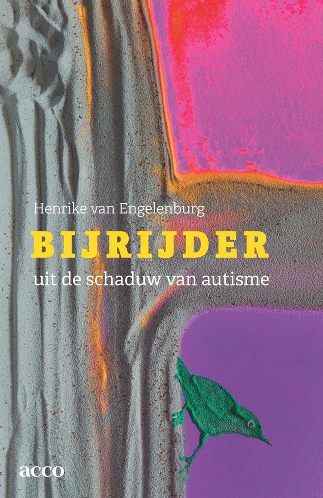 Bijrijder 9789492398703 Henrike Van Engelenburg, Livres, Livres d'étude & Cours, Envoi