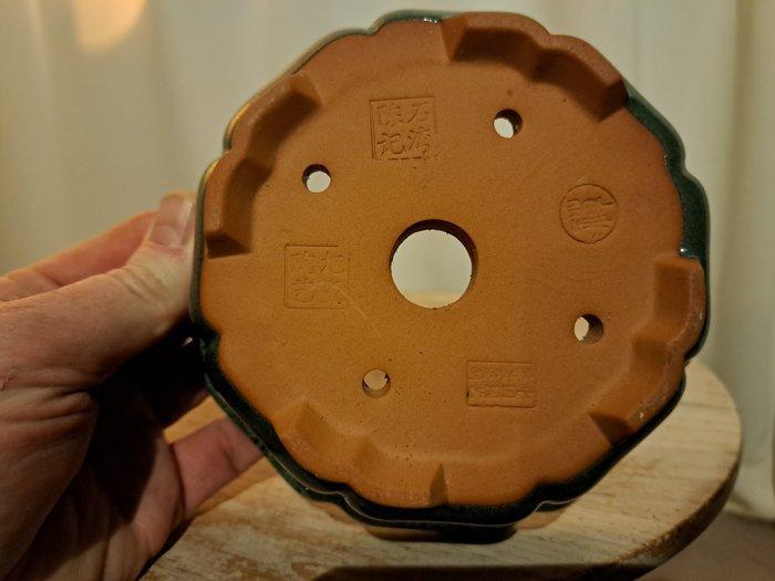 Bonsai schaal - 14x14x5,5cm - groen geglazuurd - Hoogte, Antiquités & Art, Curiosités & Brocante