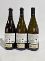 2017 Finca Montepedroso Enoteca Verdejo - Rueda - 3 Flessen, Verzamelen, Wijnen, Nieuw