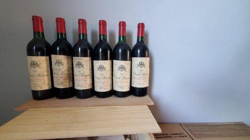 1994 Chateau Vieux Mayne - Saint-Émilion - 6 Flessen (0.75, Verzamelen, Wijnen