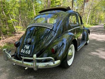 Volkswagen - Kever (Beetle) 1200 Ragtop - 1960 beschikbaar voor biedingen
