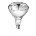 Warmtelamp lamp van gehard glas philips 250w 240v, helder -