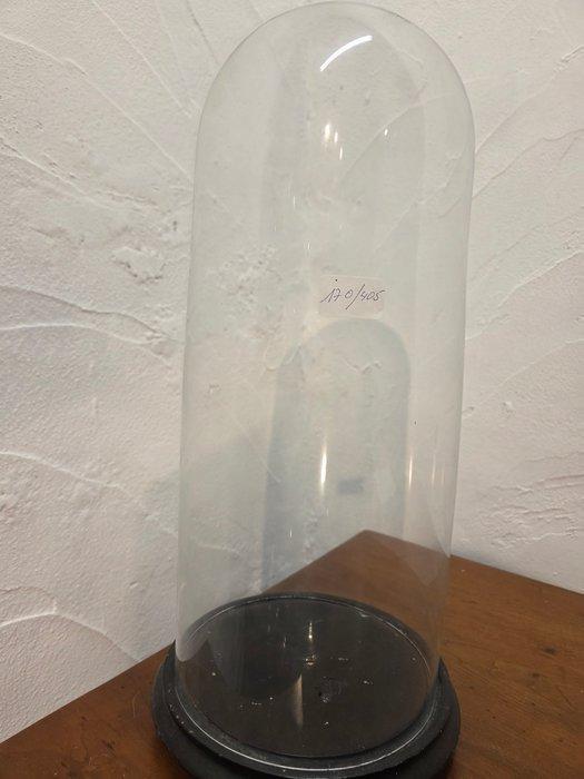 Globe - stolp - antiek - 1901-1920 - Antieke ronde stolp, Antiek en Kunst, Antiek | Boeken en Manuscripten