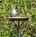 Vogelbad - IJzer, Antiek en Kunst