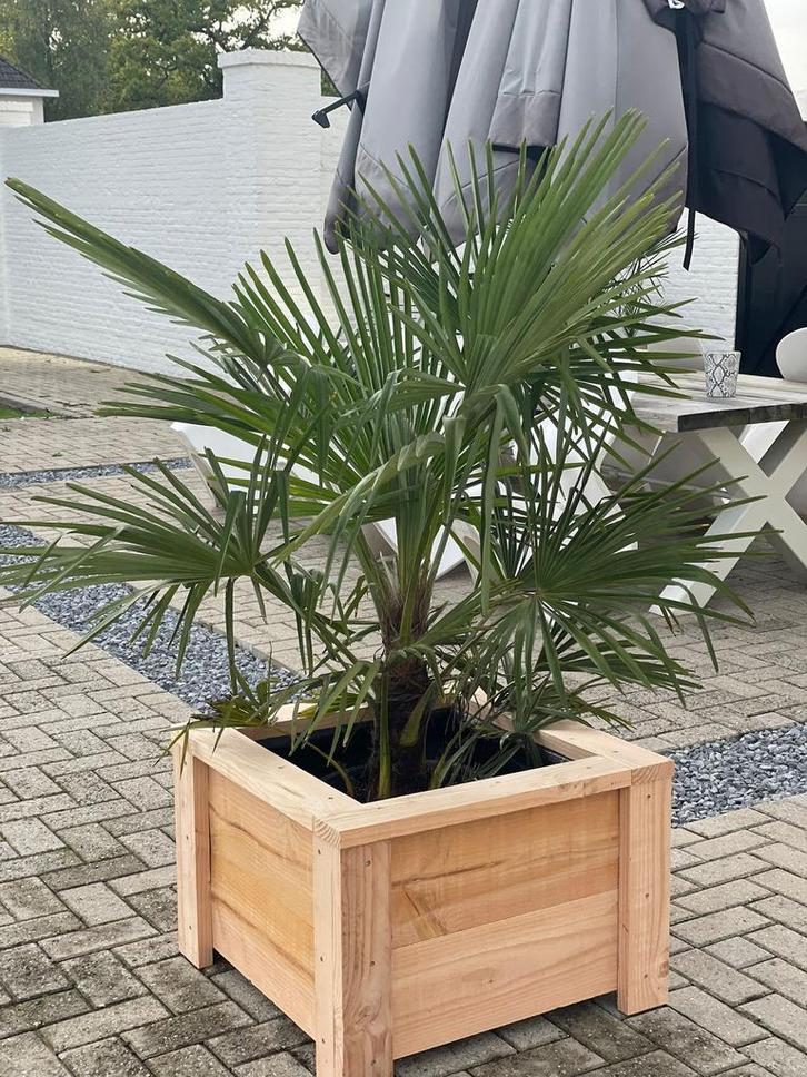 bloembakken in elke  maat en kleur, Tuin en Terras, Bloembakken en Plantenbakken, 60 cm of meer, 100 cm of meer, Binnen, Balkon