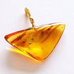 Zeer zeldzame natuurlijke Baltische barnsteenhanger met, Verzamelen