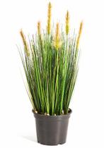 Kunstplant Vossenstaart Gras Groen 60 cm, Verzenden
