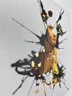 Santicri - Revelation from Chaos, La Dama con lermellino