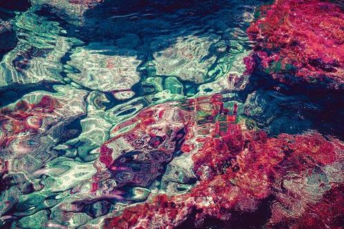 Jorge Omeñaca - Pink corals, Antiek en Kunst, Kunst | Schilderijen | Modern