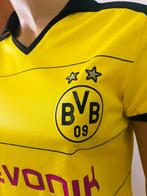 Borrusia Dortmund - Championnat dAllemagne de Football -, Nieuw