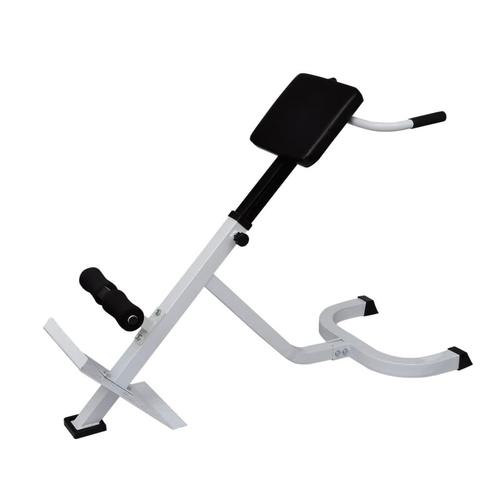 vidaXL Rugspiertrainingsbank, Sport en Fitness, Fitnessmaterialen, Nieuw, Verzenden