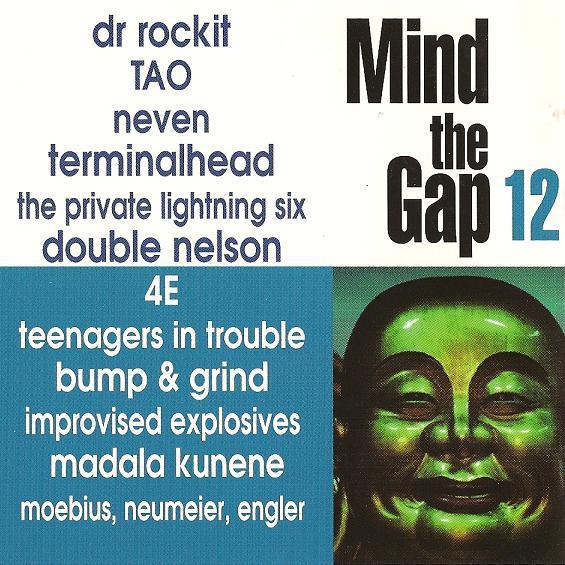 Various - Mind The Gap Volume 12, Cd's en Dvd's, Cd's | Pop, Gebruikt, Verzenden