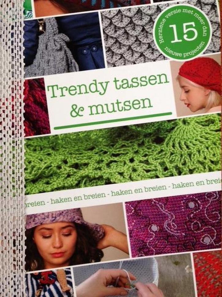 Trendy tassen & mutsen (haken en breien) 9789039627013, Boeken, Overige Boeken, Gelezen, Verzenden