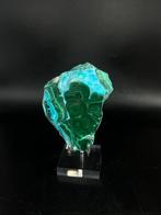 Échantillon de malachite de qualité supérieure avec