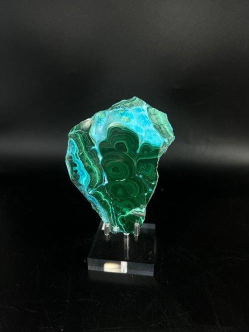 Échantillon de malachite de qualité supérieure avec, Verzamelen, Mineralen en Fossielen