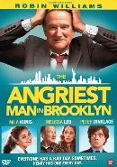 Angriest man in Brooklyn op DVD, CD & DVD, DVD | Comédie, Verzenden