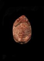 Oude Egypte, late periode Brown Stone Frog Scaraboid