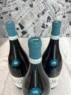 2023 Braida “Giacomo Bologna“ La Monella - Barbera del, Nieuw