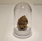 Sericho meteoriet pallasite in display - pallasite - 20.5 g, Collections