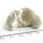 Achilles Aragonite Frag Rocks 50 stuks, Dieren en Toebehoren