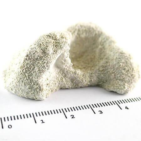 Achilles Aragonite Frag Rocks 50 stuks, Dieren en Toebehoren, Vissen | Aquariumvissen