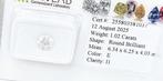 1 pcs Diamant (Natuurlijk) - 1.02 ct - Rond - E - P1 -, Nieuw