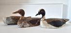 Lokeend - Conjunto de pato señuelo (3) - Hout