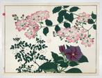 Kazu, Floral Painting () - Watanabe Seitei