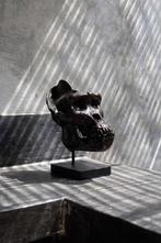 sculptuur, Western Gorilla Skull, cast in the finest