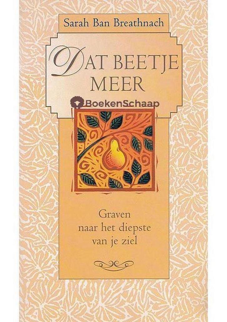 Dat beetje meer 9789022525937 Sarah Ban Breathnach, Boeken, Esoterie en Spiritualiteit, Zo goed als nieuw, Verzenden