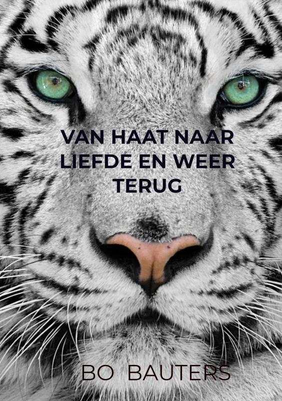 Van haat naar liefde en weer terug 9789403642406 Bo Bauters, Boeken, Romans, Gelezen, Verzenden