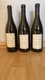 2023 Andreas Tscheppe: Salamander, Hirschkäfer, Blaue, Nieuw