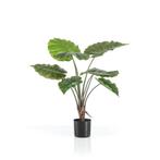 Kunstplant - Alocasia - Olifantsoor - 70 cm, Nieuw