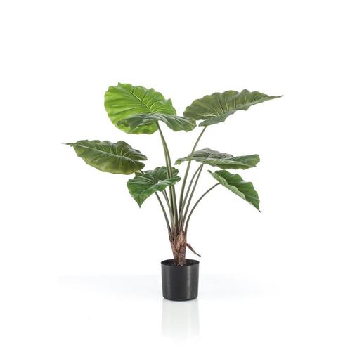 Kunstplant - Alocasia - Olifantsoor - 70 cm, Huis en Inrichting, Woonaccessoires | Kunstplanten en Kunstbloemen